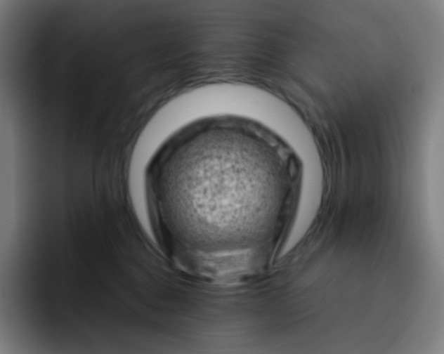 X0000093210376200710101331