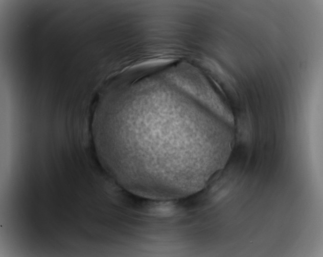 X0000093210377200710101331