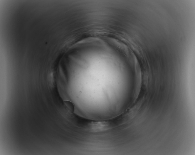 X0000093210378200710101331