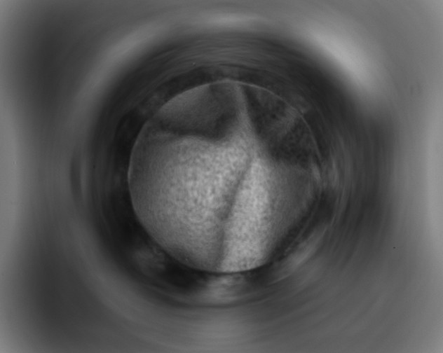 X0000093210382200710101331