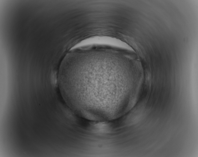 X0000093210383200710101331