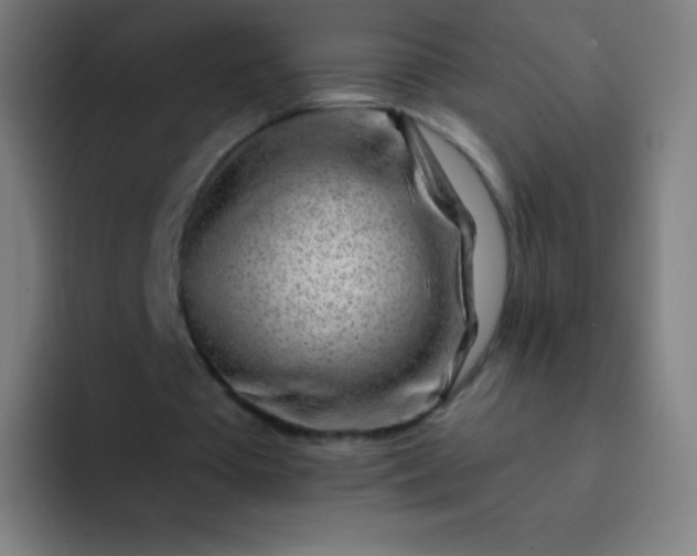 X0000093210385200710101330