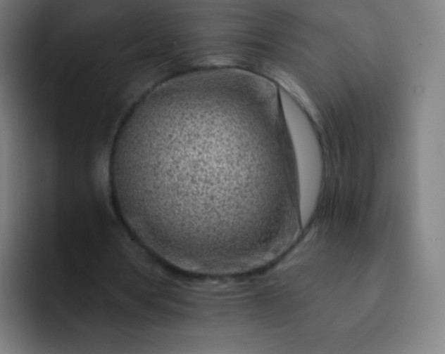 X0000093210386200710101330