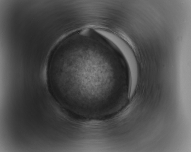 X0000093210387200710101330