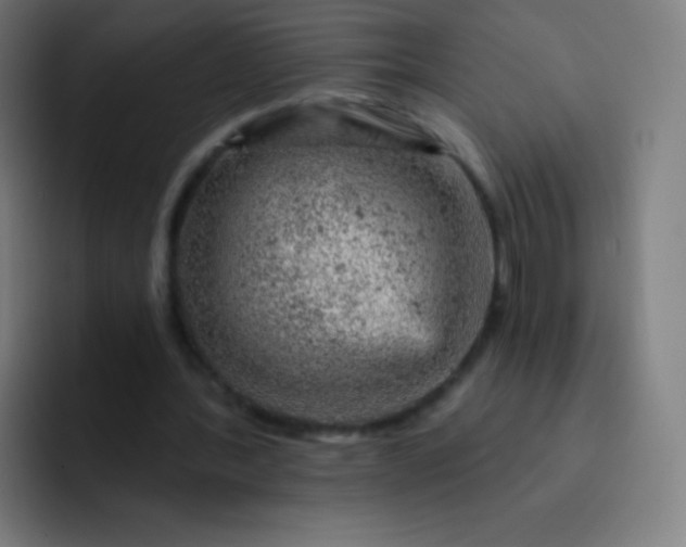 X0000093210388200710101330