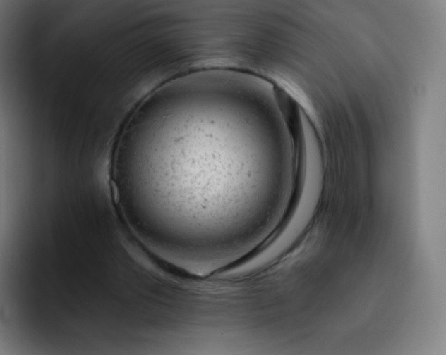 X0000093210389200710101330