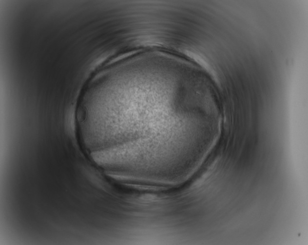 X0000093210390200710101330