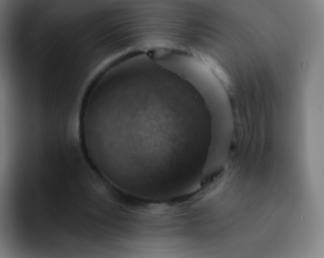 X0000093210391200710101330