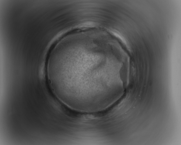 X0000093210392200710101330