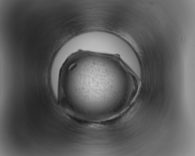 X0000093210393200710101330