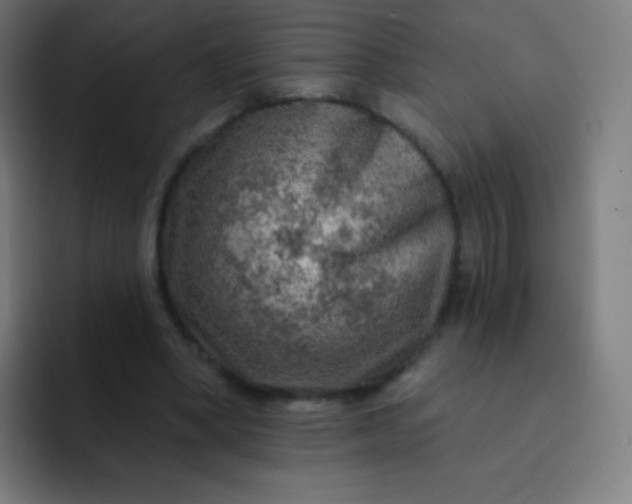 X0000093210394200710101330