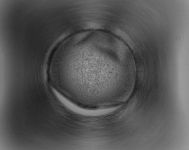 X0000093210395200710101330