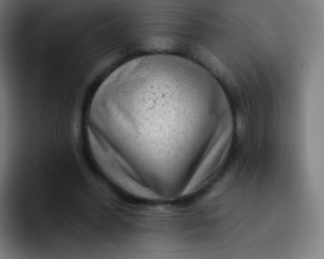 X0000093210396200710101330