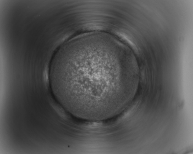 X0000093210398200710101330