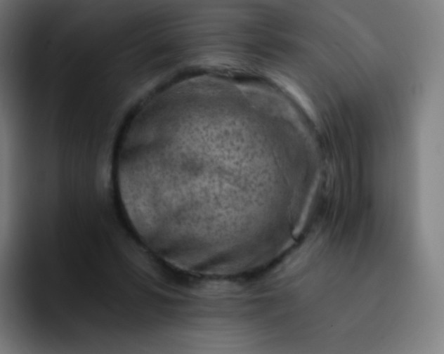 X0000093210399200710101330