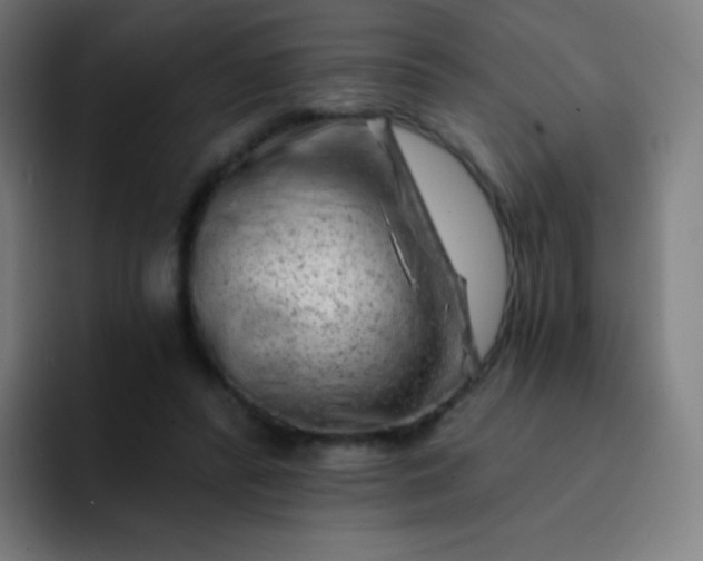 X0000093210400200710101330