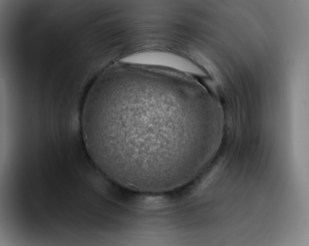 X0000093210401200710101330