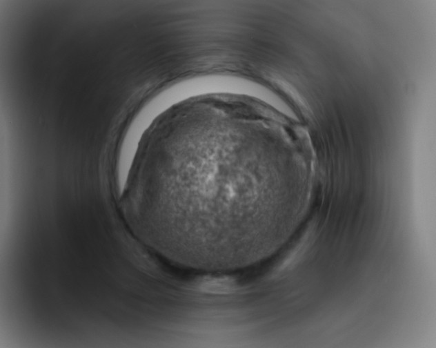 X0000093210403200710101330