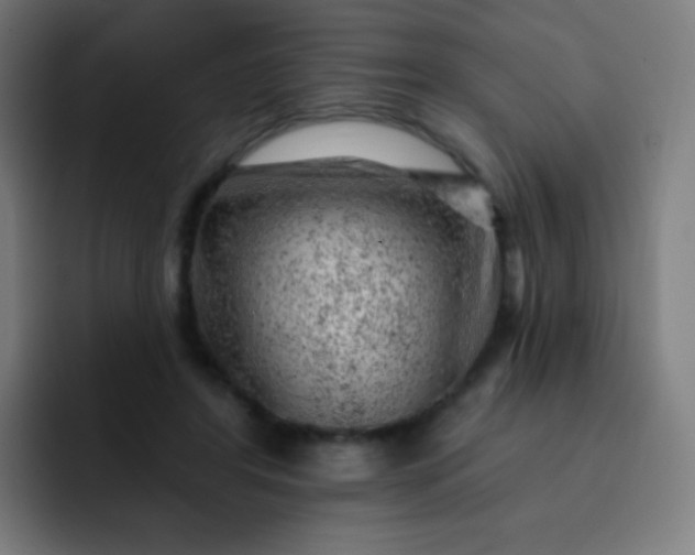 X0000093210404200710101330