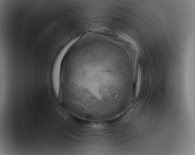 X0000093210405200710101330