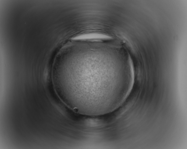 X0000093210408200710101330