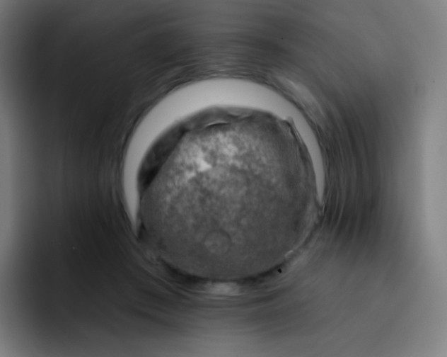 X0000093210409200710101330