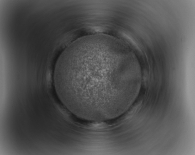 X0000093210410200710101330