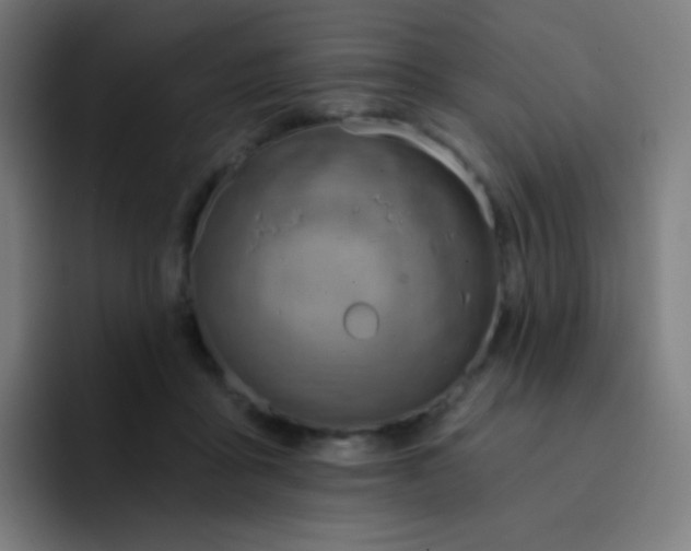 X0000093210411200710101330