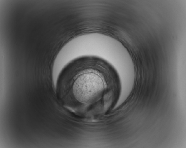 X0000093210412200710101330