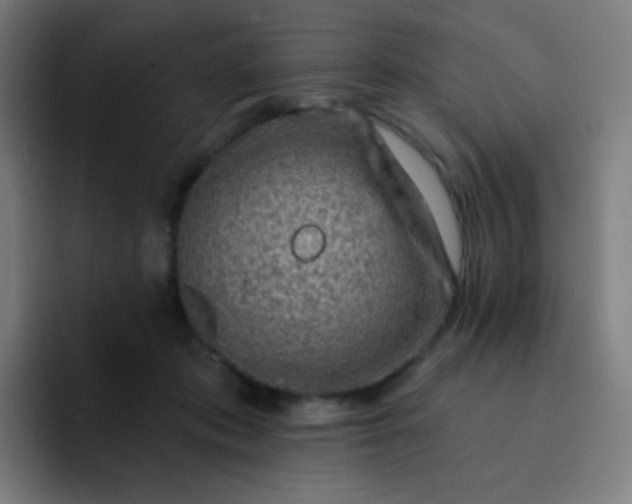 X0000093210413200710101330