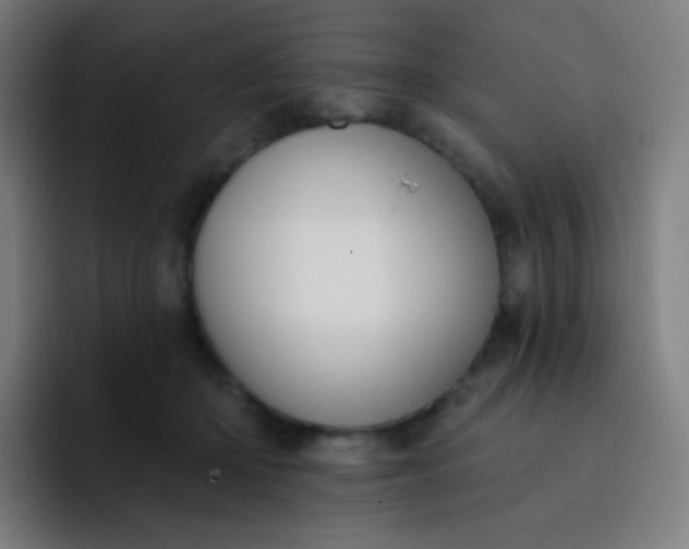 X0000093210414200710101330