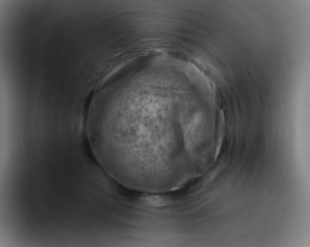 X0000093210417200710101330