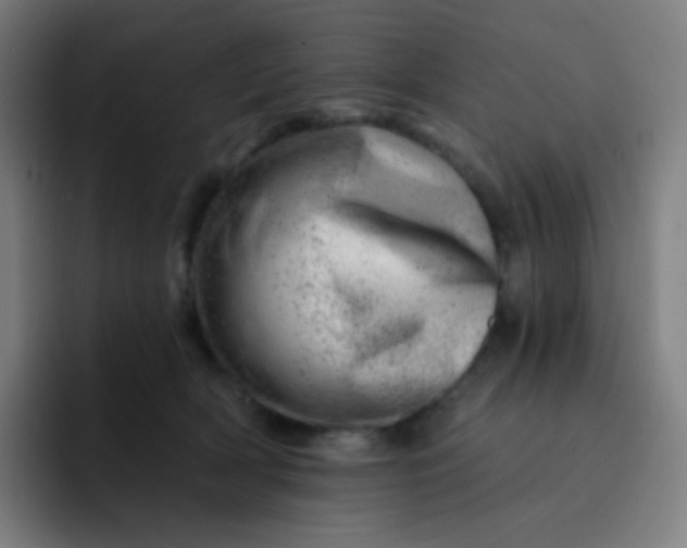 X0000093210418200710101330