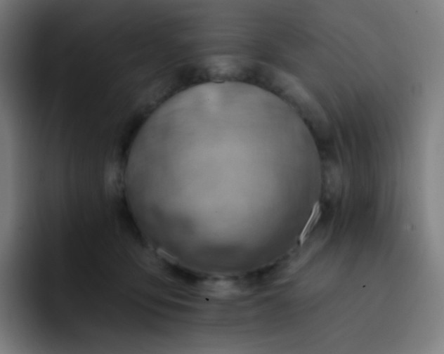 X0000093210419200710101330