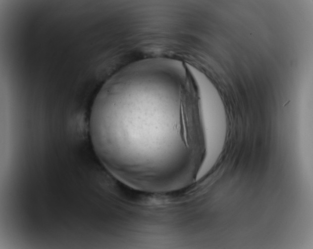 X0000093210420200710101330