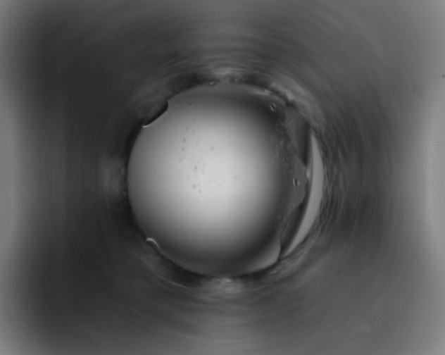 X0000093210421200710101330