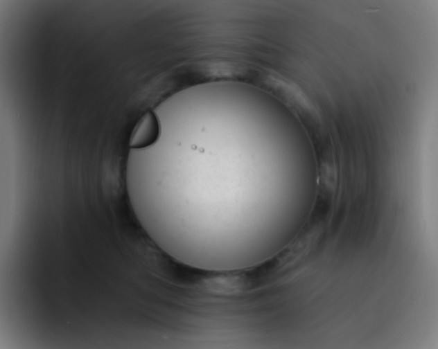 X0000093210422200710101330