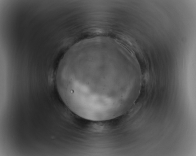 X0000093210423200710101330