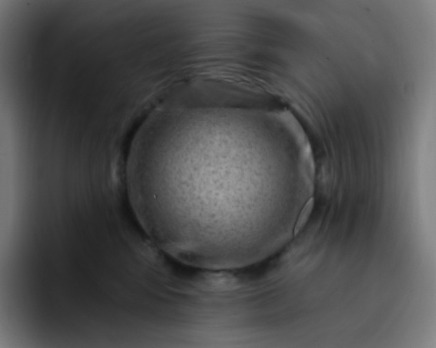 X0000093210424200710101330