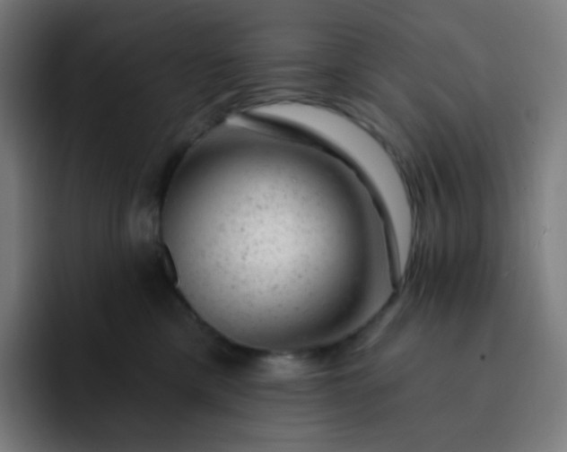 X0000093210425200710101330