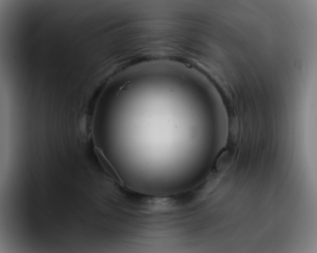 X0000093210428200710101330