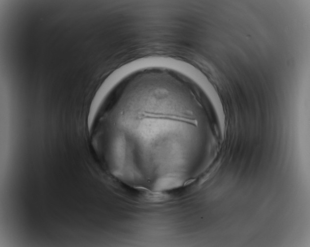 X0000093210429200710101330