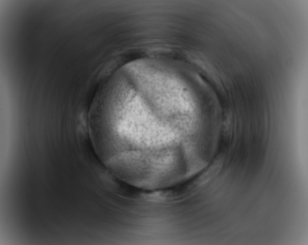 X0000093210430200710101330