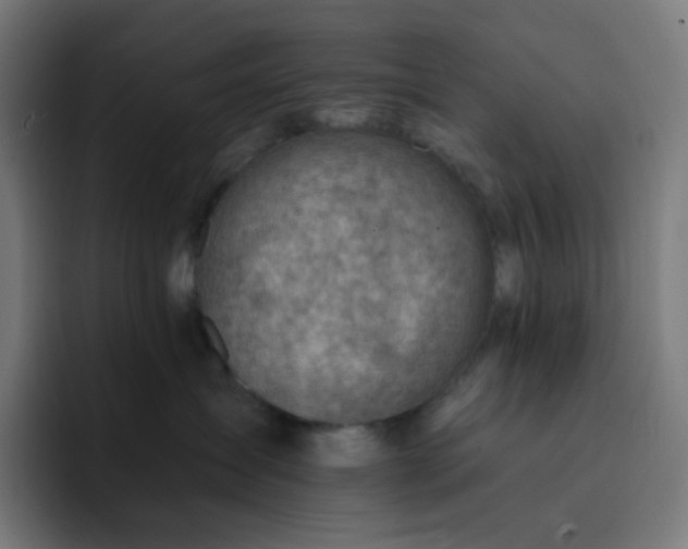 X0000093210431200710101330