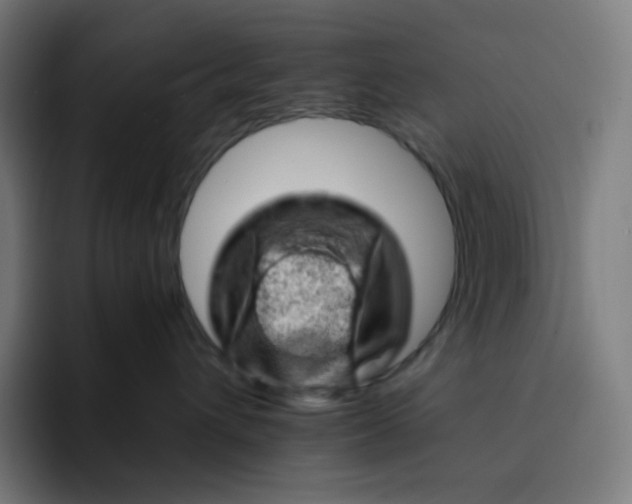 X0000093210432200710101330