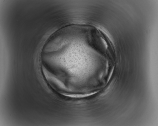 X0000093210433200710101329