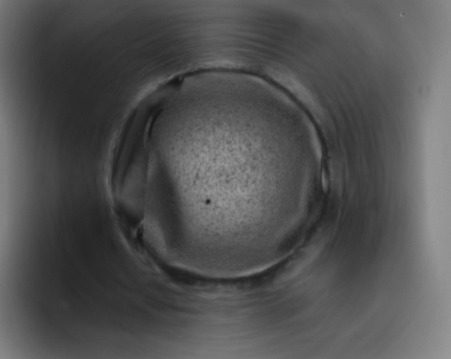 X0000093210434200710101329