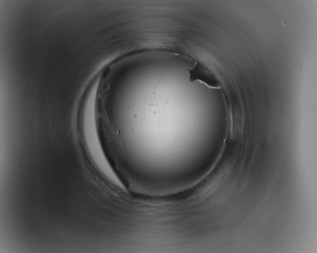 X0000093210435200710101329