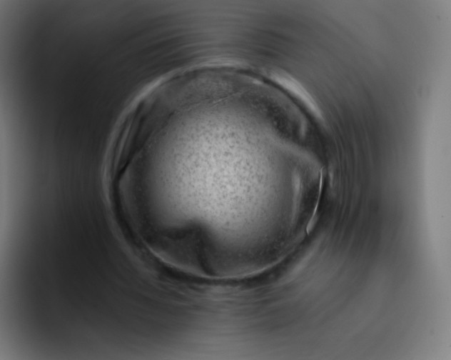 X0000093210436200710101329