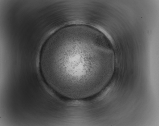 X0000093210437200710101329